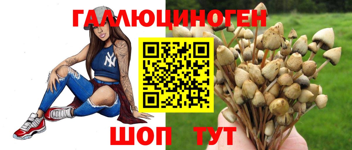 Галлюциногенные грибы мухоморы  Псилоцибиновые грибы Magic Shrooms  Вход с VPN  Шелехов 
